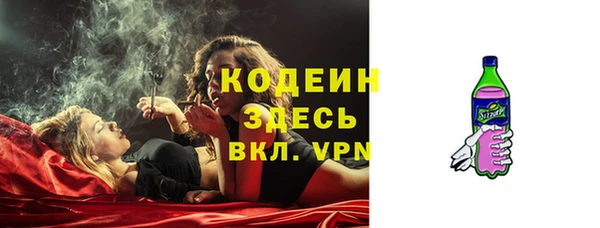 apvp Снежногорск