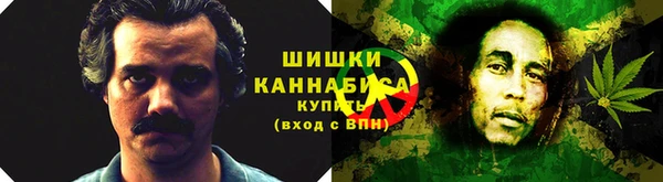 apvp Снежногорск