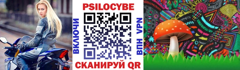 Псилоцибиновые грибы Cubensis  Купить где  Берёзовка 